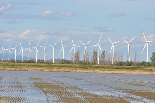 landscape filled with wind turbine in the Camargue, France. new energies