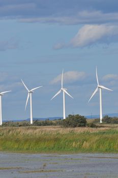 landscape filled with wind turbine in the Camargue, France. new energies