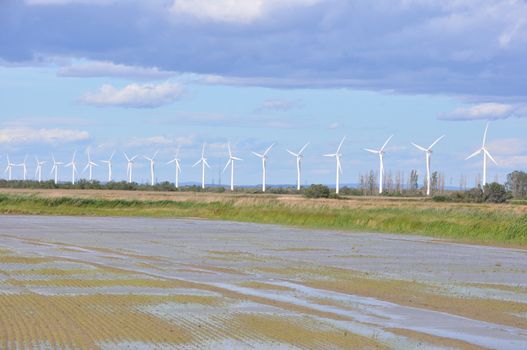 landscape filled with wind turbine in the Camargue, France. new energies