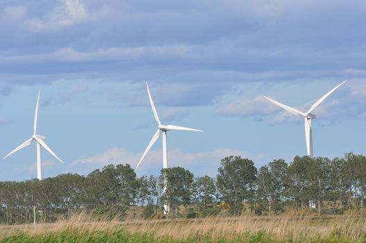 landscape filled with wind turbine in the Camargue, France. new energies