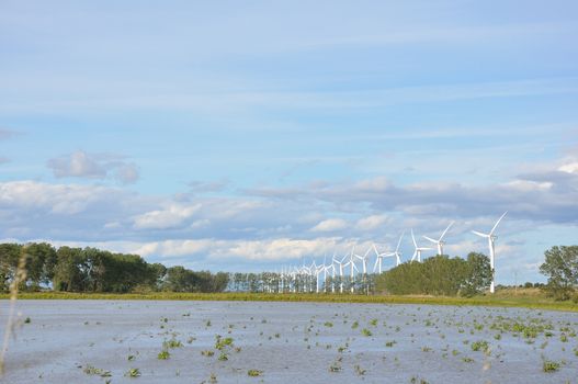 landscape filled with wind turbine in the Camargue, France. new energies