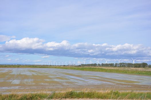 landscape filled with wind turbine in the Camargue, France. new energies