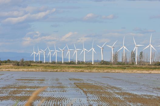 landscape filled with wind turbine in the Camargue, France. new energies
