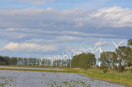 landscape filled with wind turbine in the Camargue, France. new energies