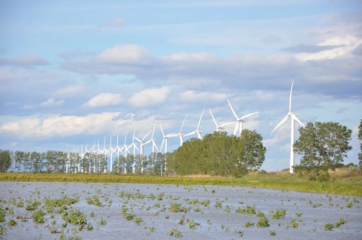 landscape filled with wind turbine in the Camargue, France. new energies