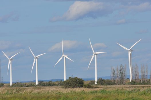 landscape filled with wind turbine in the Camargue, France. new energies
