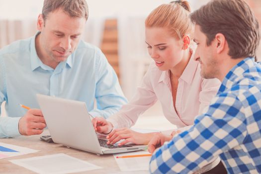 Group of business people working with laptop and financial data in office