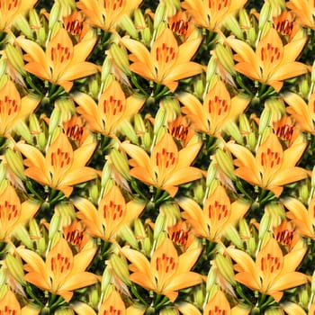 Seamless abstract springtime, summer natural background of blooming lilies