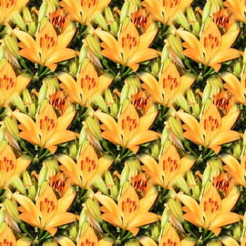 Seamless abstract springtime, summer natural background of blooming lilies