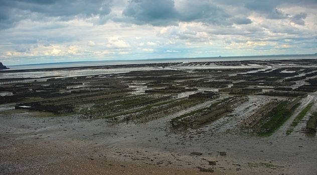 Oyster farm at Atlantic ocean shore at Cancale, France