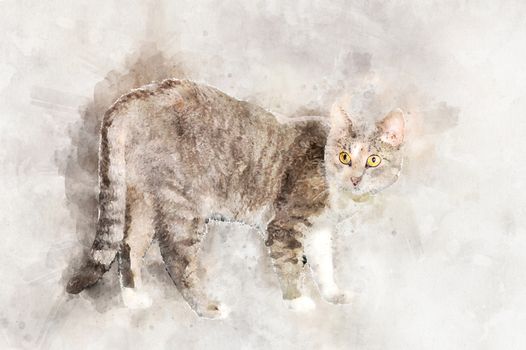 A graceful gray tabby cat with yellow eyes stands and looks at the camera.. Stylization in watercolor drawing