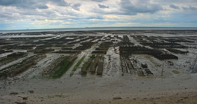 Oyster farm at Atlantic ocean shore at Cancale, France