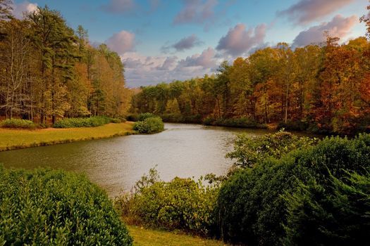 A lake and trees in the fall of the year