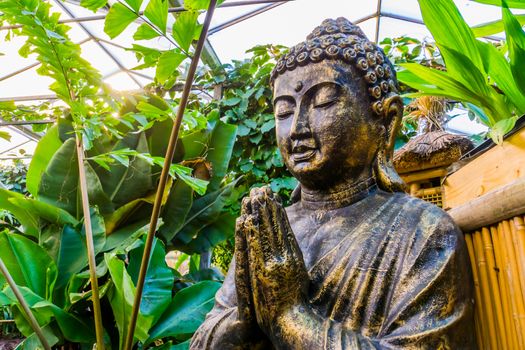 closeup of buddha statue in a tropical garden, popular and traditional decoration