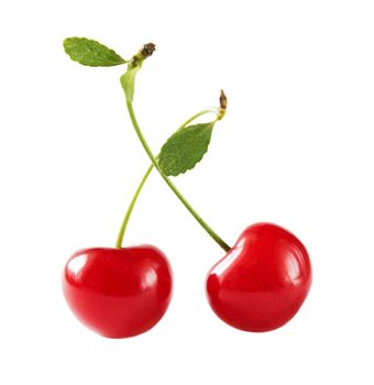 Two juicy red cherry berries with petioles and leaves isolated on a white background closeup