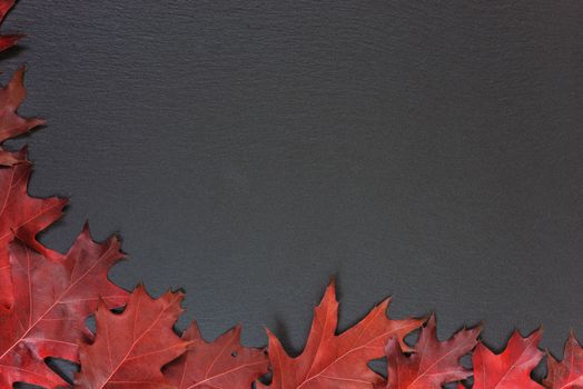 Fall frame from red autumn leaves of Red oak on a background of black stone with copy-space