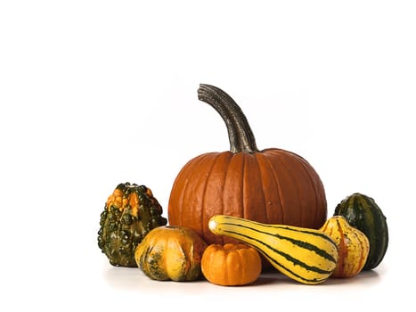 Pile of orange and green pumpkins isolated on white background