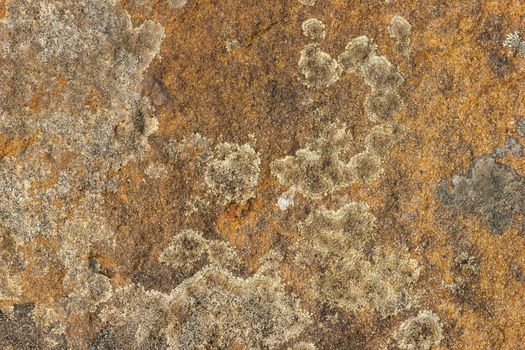 Texture of the rock. Stone texture background. Closeup and copy space. The patterns are created with nature.
