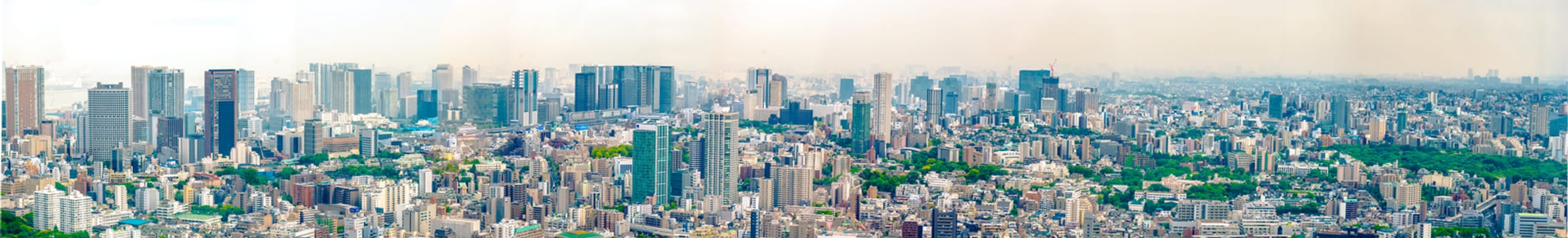 Panorama of the business district of Tokyo city from the Mori Tower