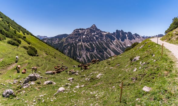 Fantastic hike in the Tannheim Mountains from the summit of Neunerkopfle over Landsberger hut to the beautiful Vilsalpsee.