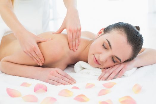 Beautiful young woman enjoying back massage at beauty spa