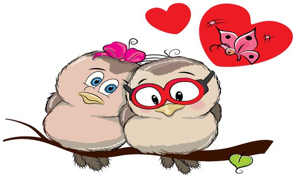 owl couple is enjoying valentine