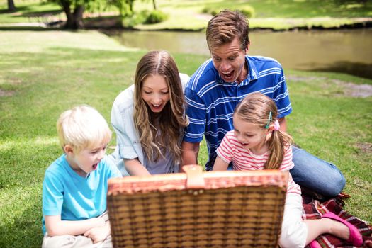 Happy family having a picnic in the park