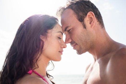 Romantic couple embracing face to face on the beach