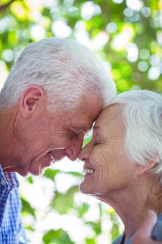 Close-up of romantic senior couple with eyes closed