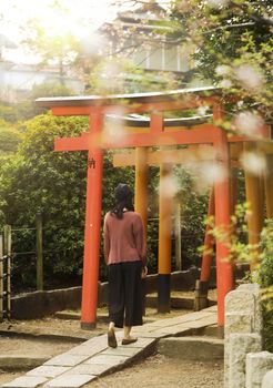 Woman walking at the entrance of a tunnel of red Torii portal in the Shintoist Nezu shrine of the 18th century in Tokyo with its cherry blossoms around.