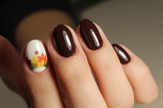 Beautiful manicure design brown color with a pattern