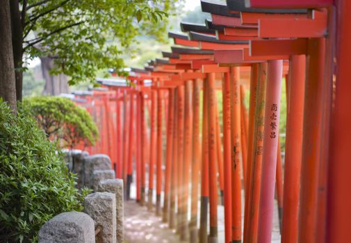 Rays of sun passing between red Torii portal of the Shintoist Nezu shrine of the 18th century in Tokyo.