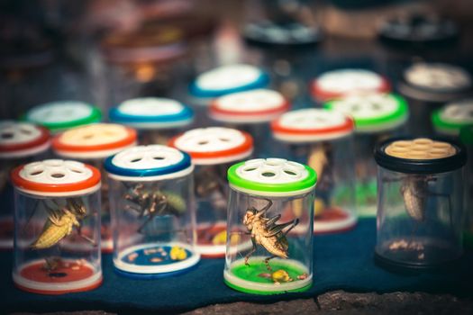 chinese fighting cricket market full of insects in Hangzhou, China
