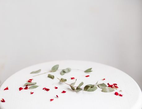 Red and green petals on white stand. Copyspace