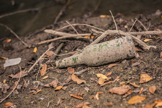 Glass bottle on the ground in a natural place