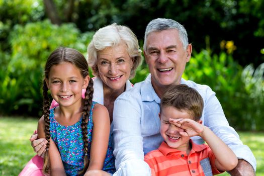 Cheerful children with grandparents sitting at yard 