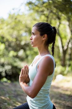 Portrait of a woman doing yoga on the wood 