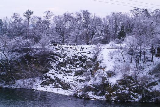 Nature winter landscape. Trees covered with snow after blizzard