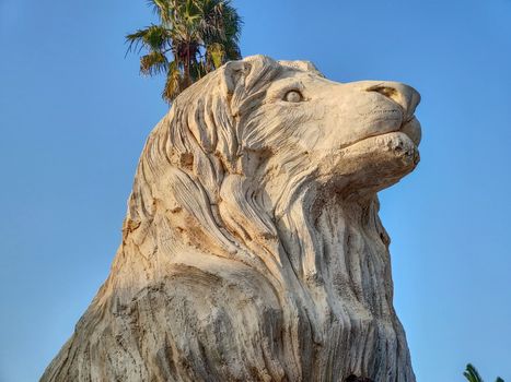 the lion statue in the moroccan zoo