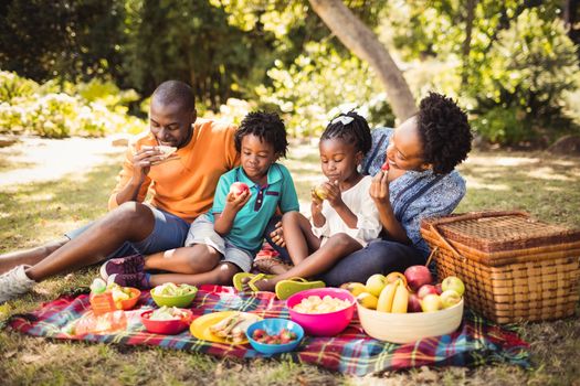 Happy family eating together at park