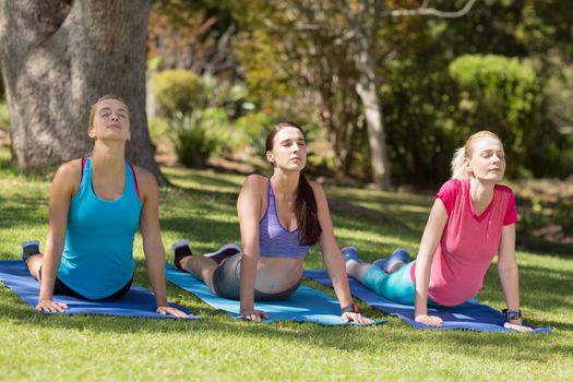 Young women doing yoga in park