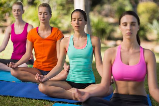 Beautiful women practicing yoga in park