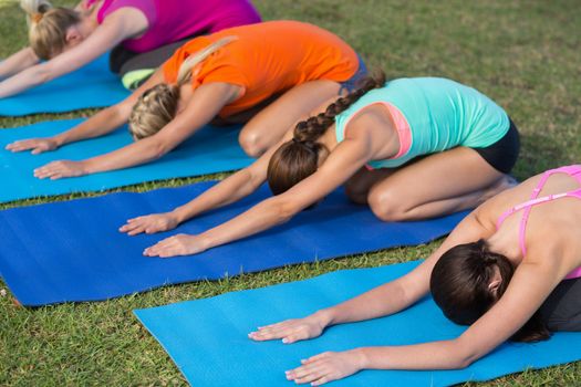 Women practicing yoga in park