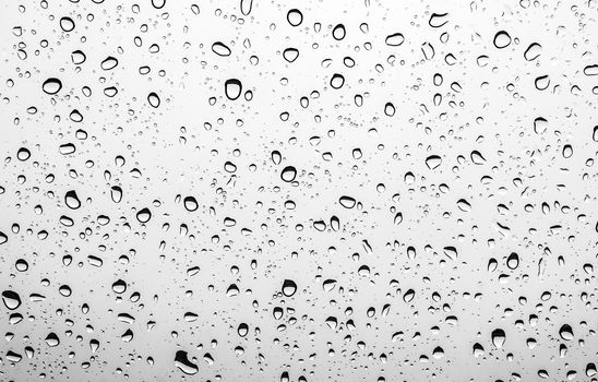 Water background with water droplets on glass, gray-white backdrop