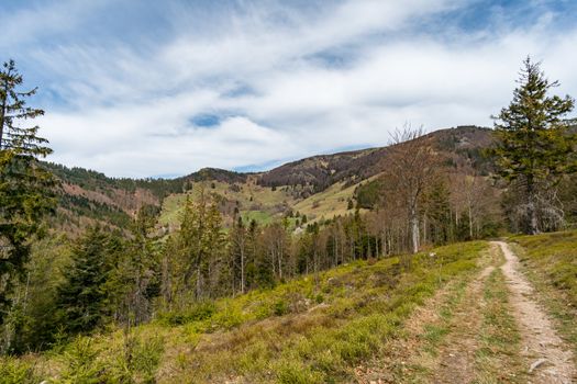 Hike on the Belchen with a fantastic panoramic view in beautiful Schonau in the Black Forest