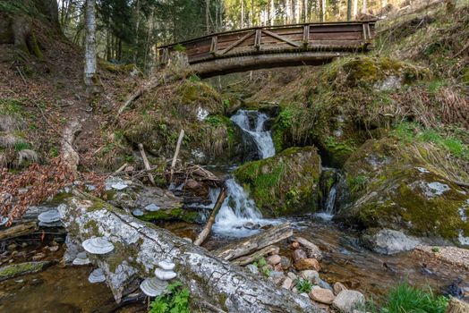 Hike on the Belchen with a fantastic panoramic view in beautiful Schonau in the Black Forest