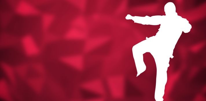 Fighter performing karate stance against red abstract design