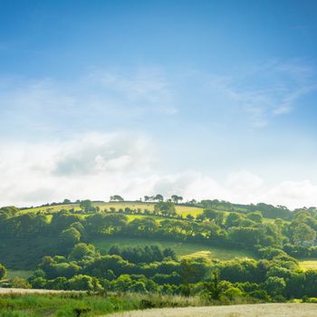 Composite image of a country scene with forest