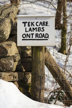 A sign written in a north of England dialect asking motorists to take care of new born lambs.