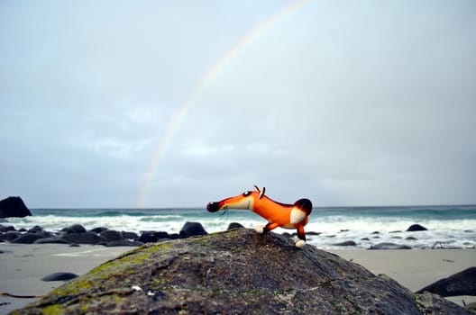 Puppet fox is chilling on the beach with rainbow on the sky